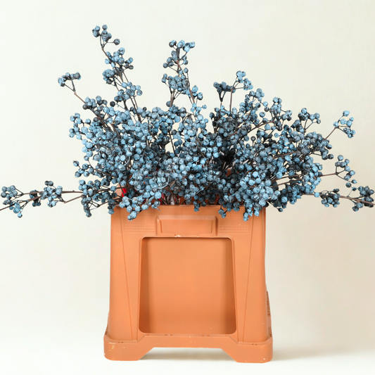 Kunst Bessentak Blauw