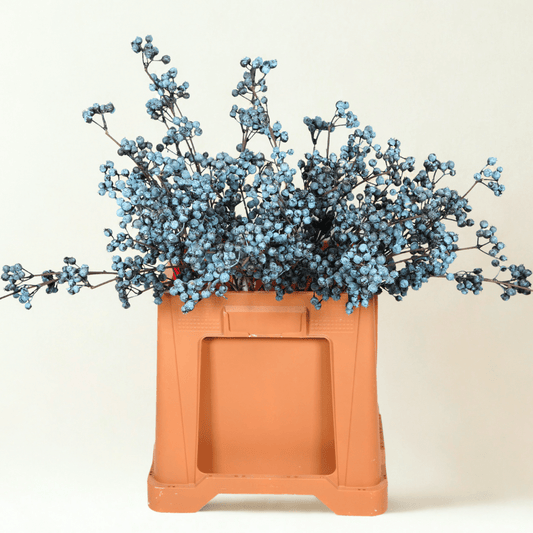 Kunst Bessentak Blauw - Zivē