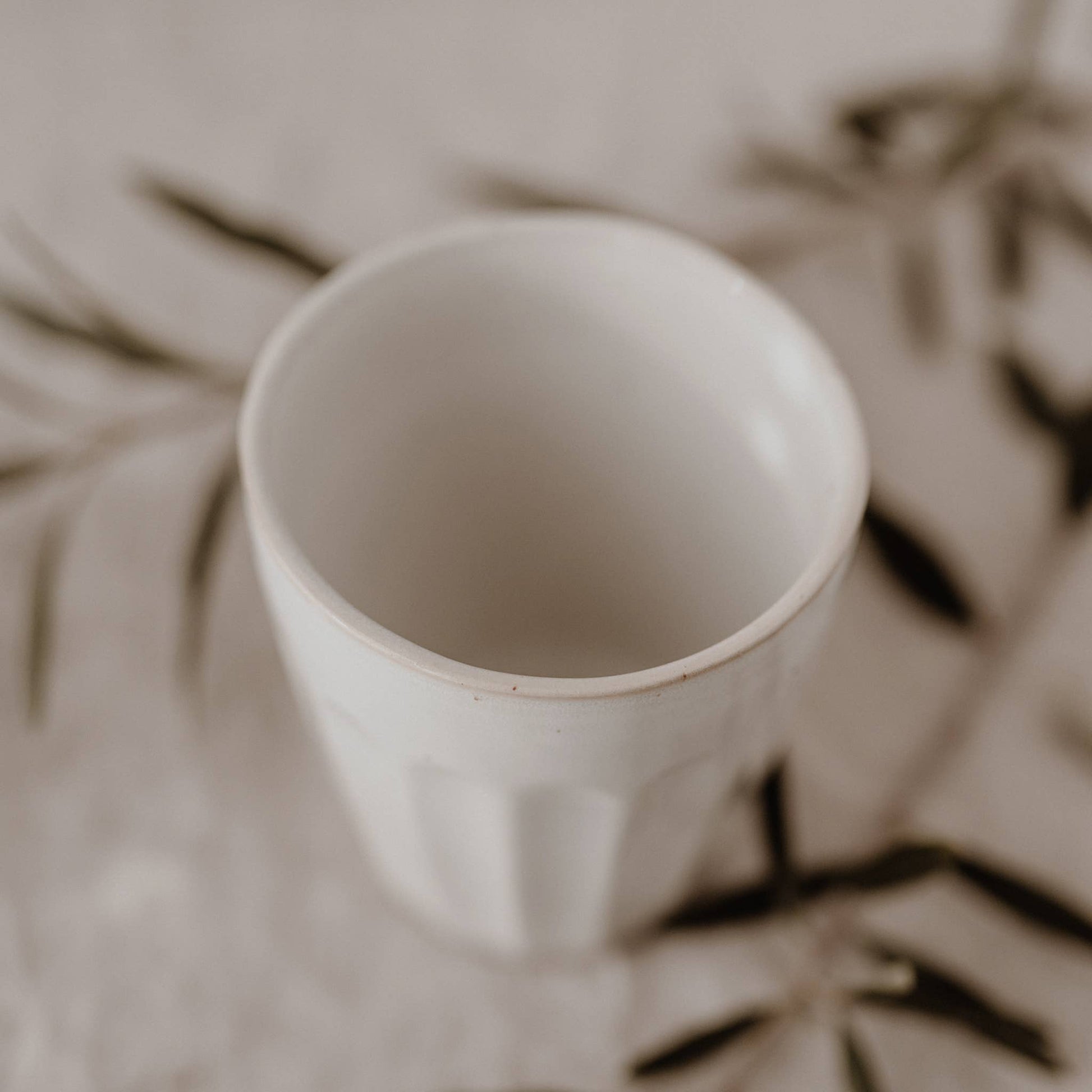 Mok Colina | 300ml - Zivē