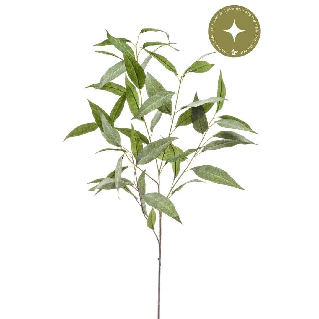 Eucalyptus kunsttak
