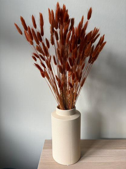 Uni droogbloemen | Lagurus Terra