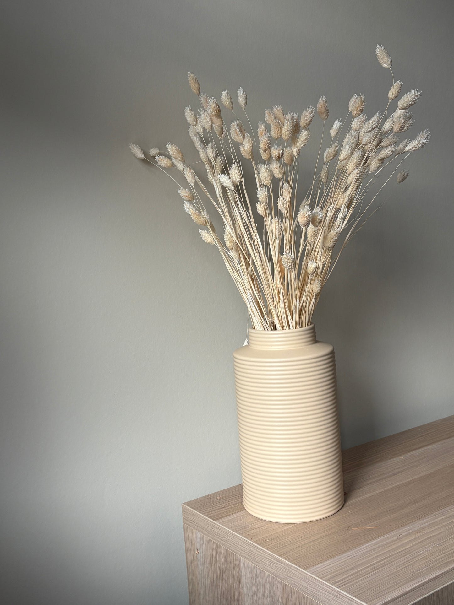 Uni Droogbloemen | Phalaris gebleekt