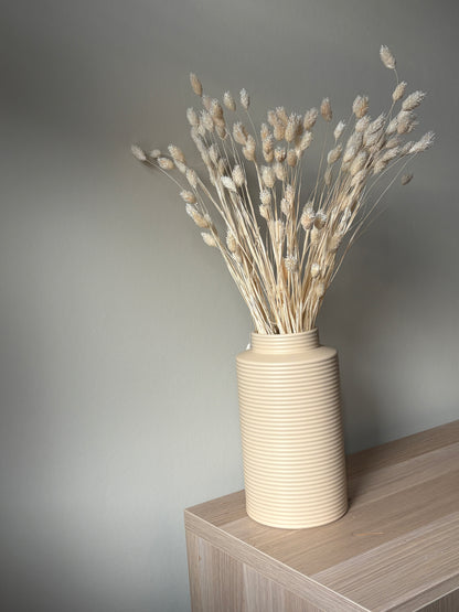 Uni Droogbloemen | Phalaris gebleekt