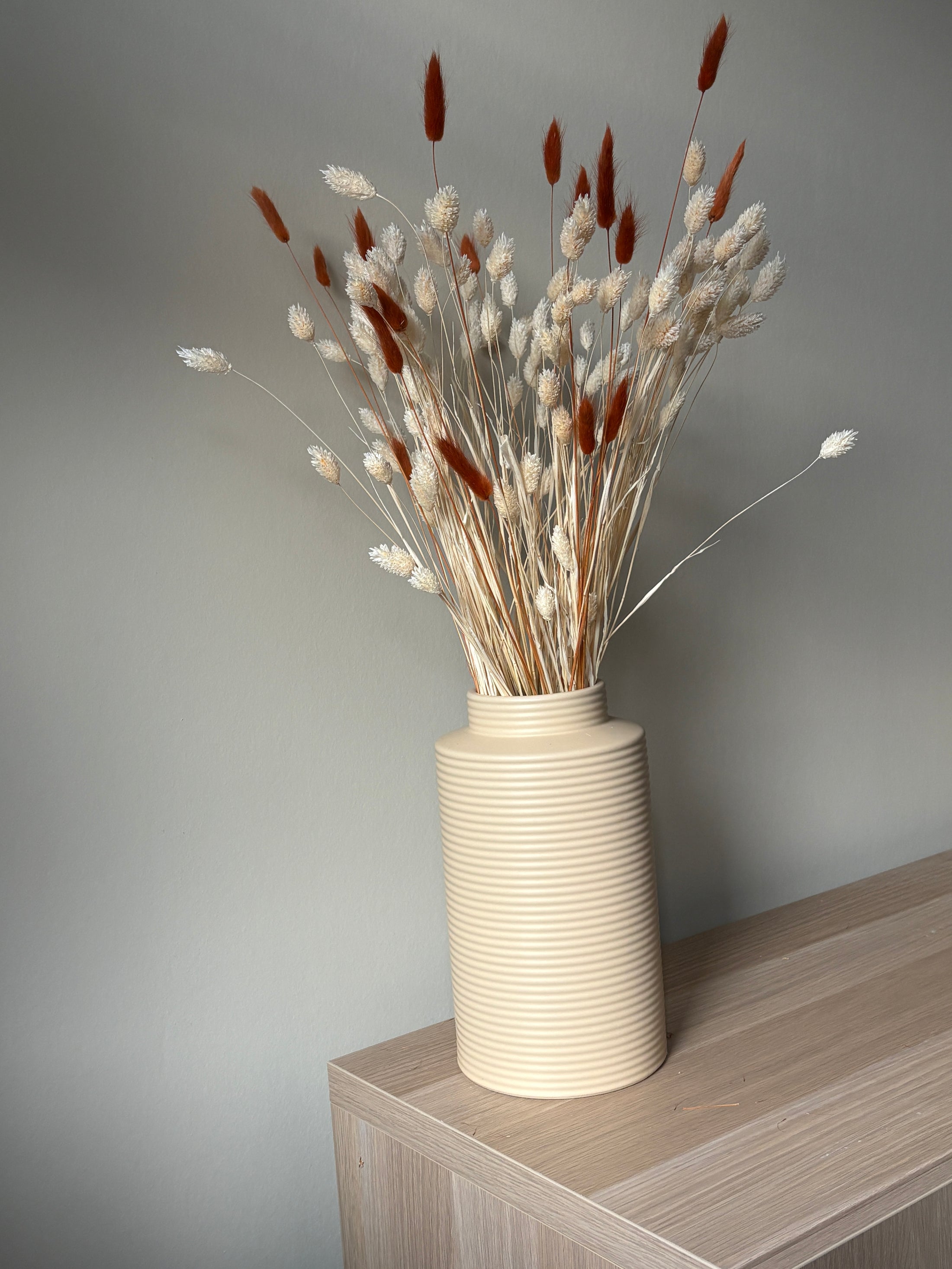 Uni Droogbloemen | Phalaris gebleekt