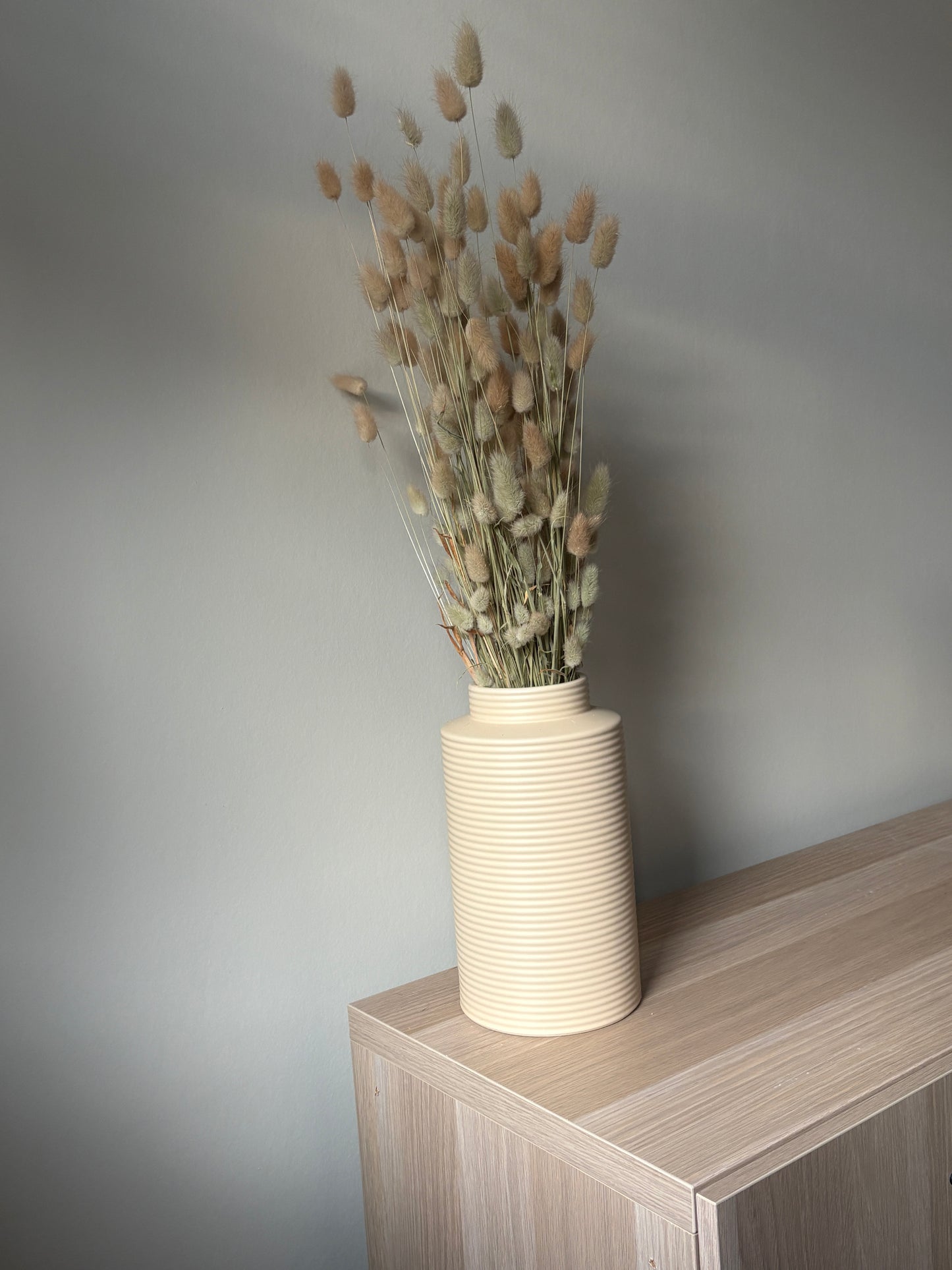 Uni Droogbloemen | Lagurus Natural