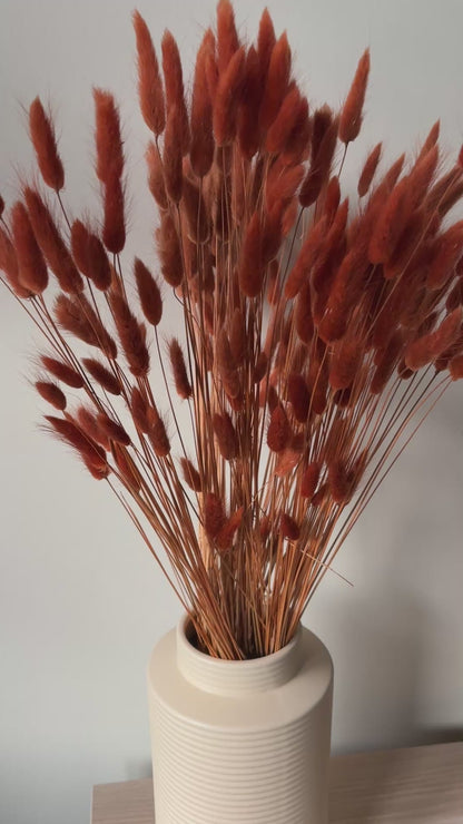 Uni droogbloemen | Lagurus Terra